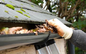 gutter cleaning Domewood, Surrey